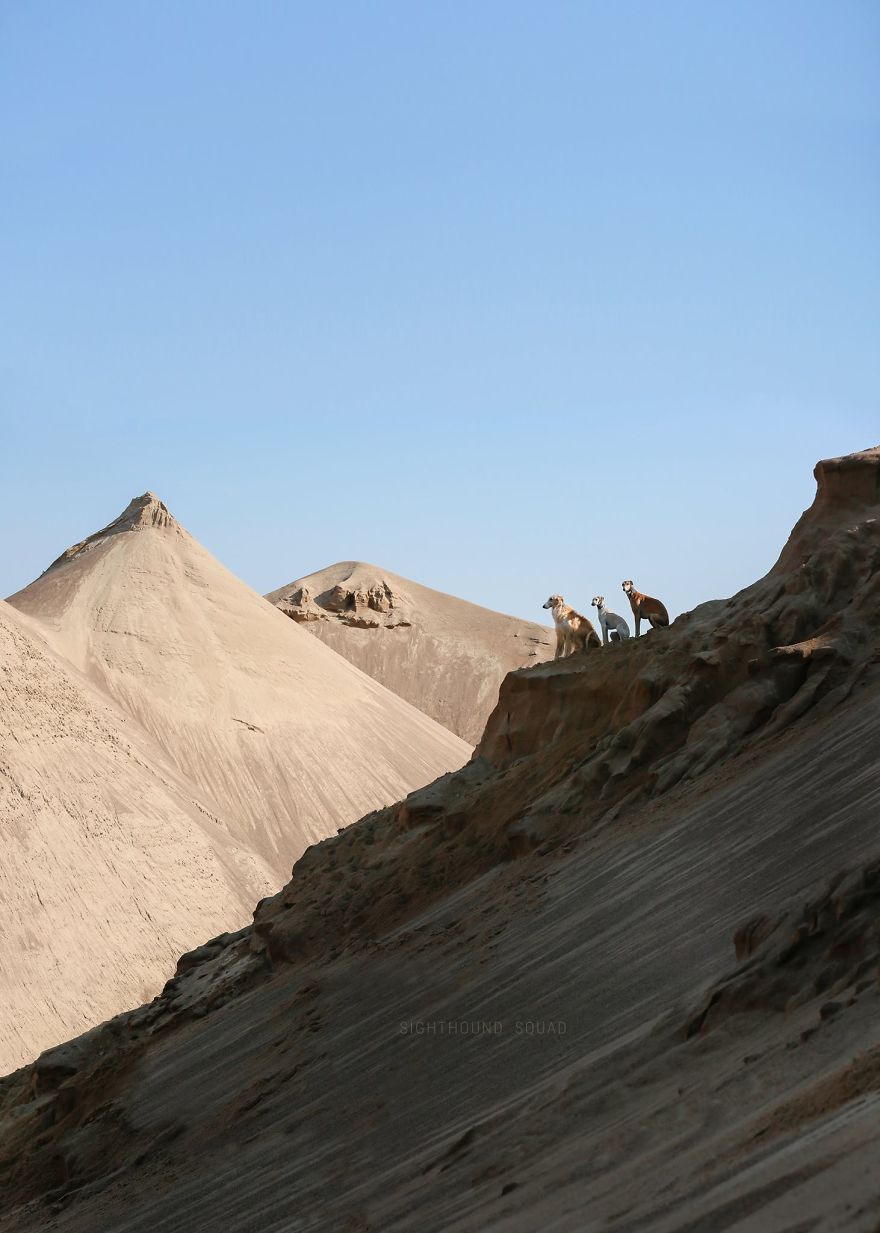 We Are The Sighthound Squad And We Explore Lithuania With Our Lovely Dogs We Are The Sighthound Squad And We Explore Lithuania With Our Lovely Dogs