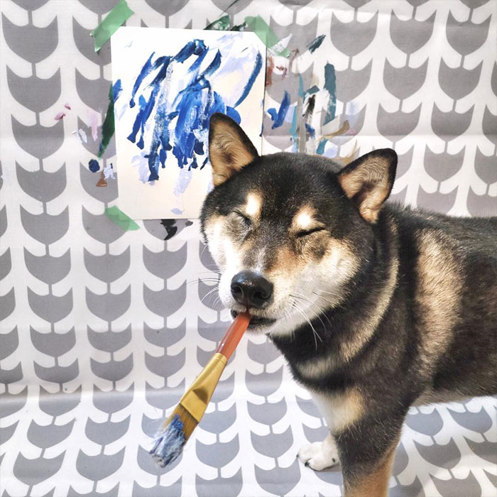Owners Teach Their Shiba Inu To Paint, Sell Paintings Worth ~$5000 Owners Teach Their Shiba Inu To Paint, Sell Paintings Worth ~$5000