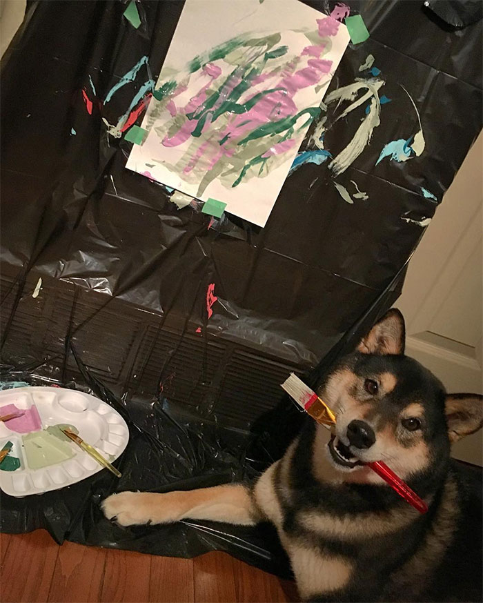Owners Teach Their Shiba Inu To Paint, Sell Paintings Worth ~$5000 Owners Teach Their Shiba Inu To Paint, Sell Paintings Worth ~$5000