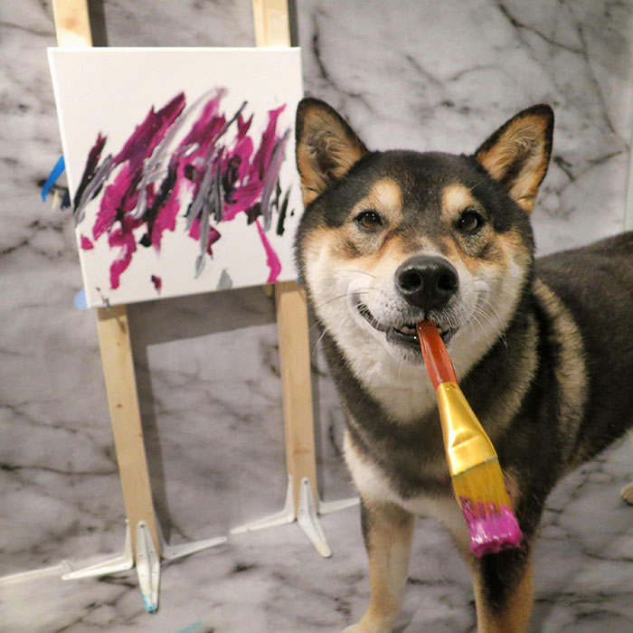 Owners Teach Their Shiba Inu To Paint, Sell Paintings Worth ~$5000 Owners Teach Their Shiba Inu To Paint, Sell Paintings Worth ~$5000