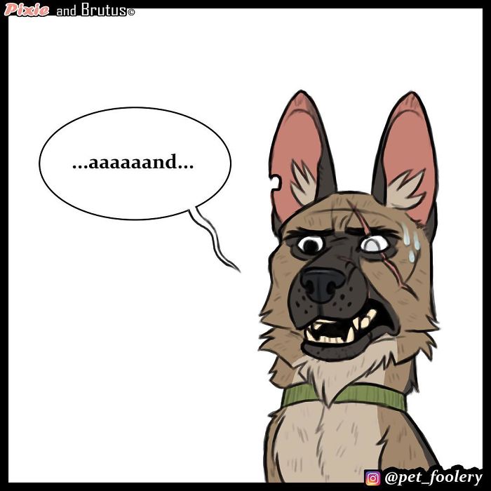 4 New Pixie And Brutus Comics That Will Make Your Day 4 New Pixie And Brutus Comics That Will Make Your Day