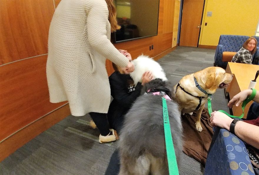Our Therapy Dogs Turned To Clay Our Therapy Dogs Turned To Clay