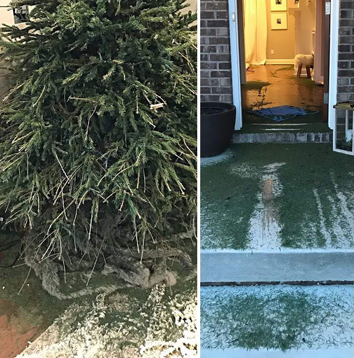 42 People Having A Worse Christmas Day Than You 42 People Having A Worse Christmas Day Than You