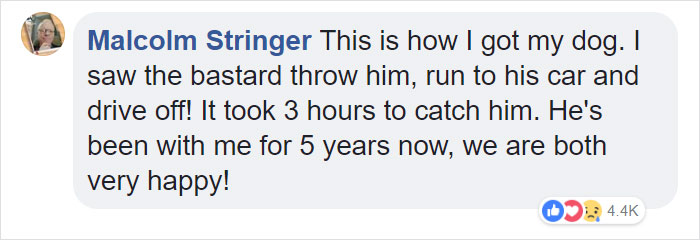Dog Doesn’t Realize He Is Being Abandoned, Desperately Tries To Get Back In Car Dog Doesn’t Realize He Is Being Abandoned, Desperately Tries To Get Back In Car
