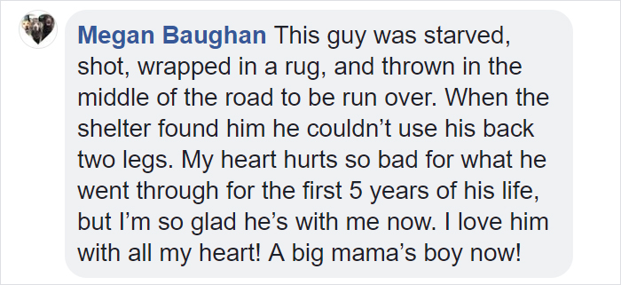 Dog Doesn’t Realize He Is Being Abandoned, Desperately Tries To Get Back In Car Dog Doesn’t Realize He Is Being Abandoned, Desperately Tries To Get Back In Car