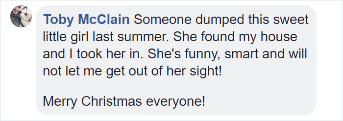 Dog Doesn’t Realize He Is Being Abandoned, Desperately Tries To Get Back In Car Dog Doesn’t Realize He Is Being Abandoned, Desperately Tries To Get Back In Car