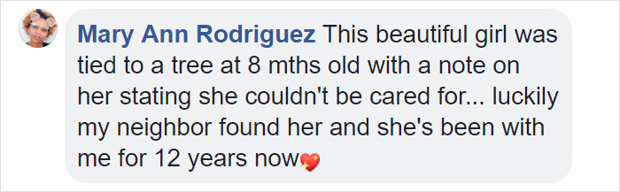 Dog Doesn’t Realize He Is Being Abandoned, Desperately Tries To Get Back In Car Dog Doesn’t Realize He Is Being Abandoned, Desperately Tries To Get Back In Car