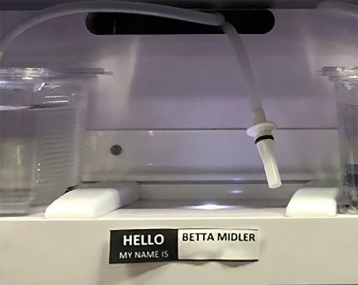 Pet Store Gives Celebrity Names To Their Fishes And They Are Hilariously Accurate