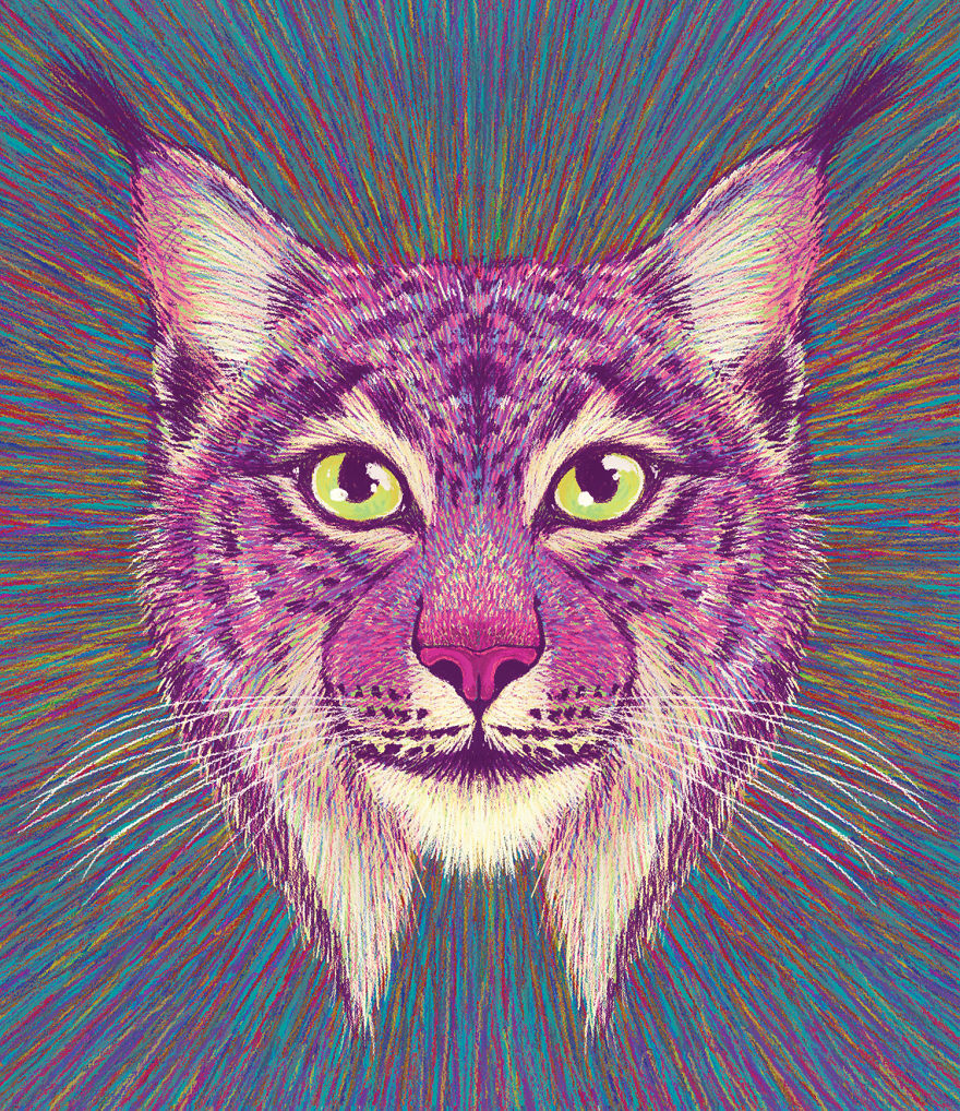 Calendar 2019 – Losing Wildlife Calendar 2019 – Losing Wildlife