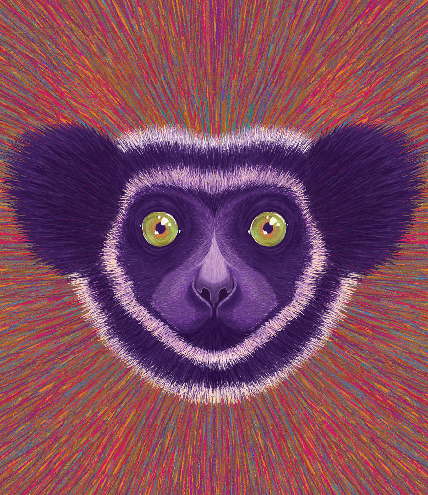 Calendar 2019 – Losing Wildlife Calendar 2019 – Losing Wildlife