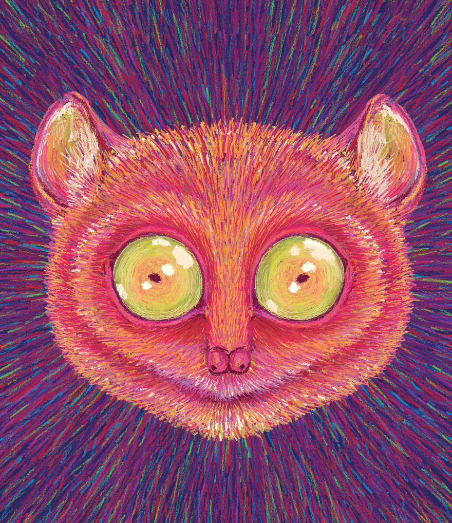 Calendar 2019 – Losing Wildlife Calendar 2019 – Losing Wildlife