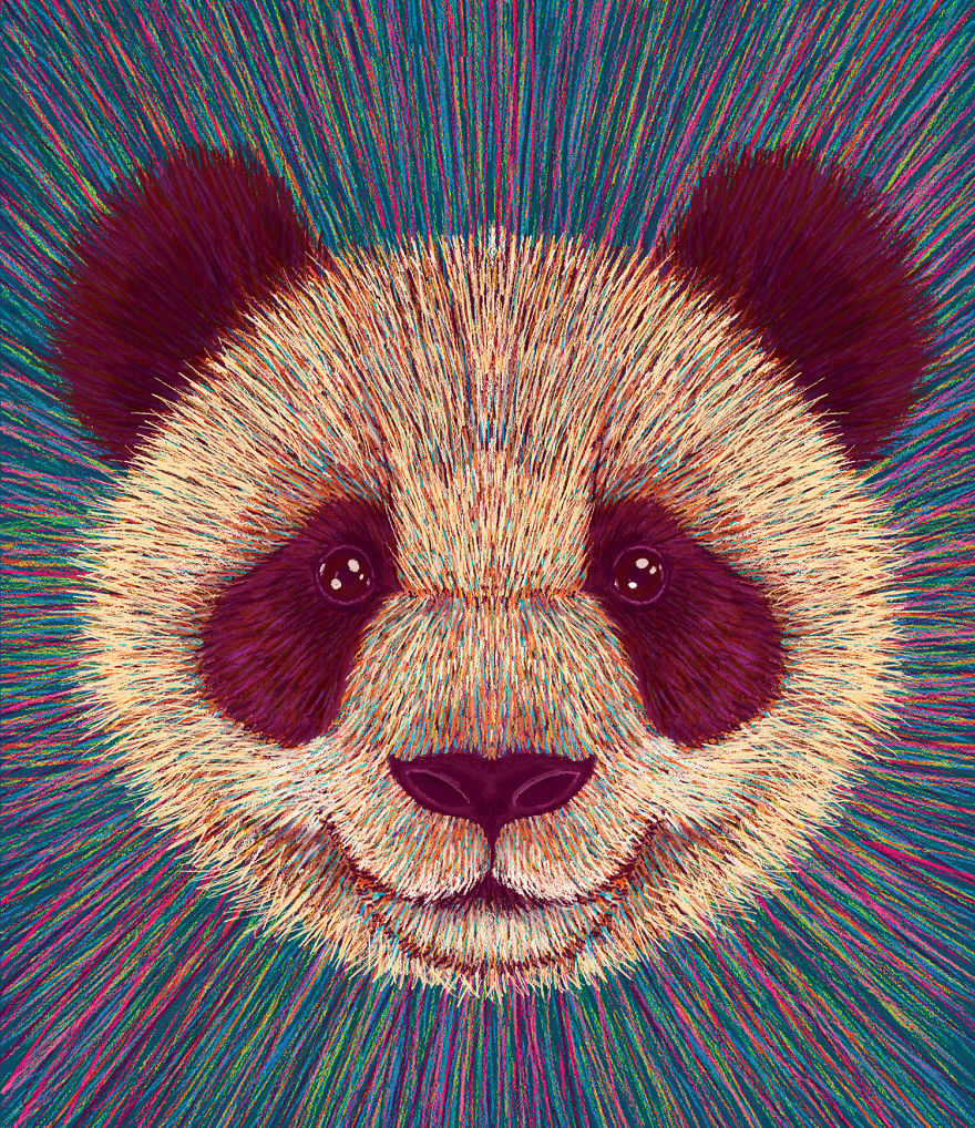 Calendar 2019 – Losing Wildlife Calendar 2019 – Losing Wildlife