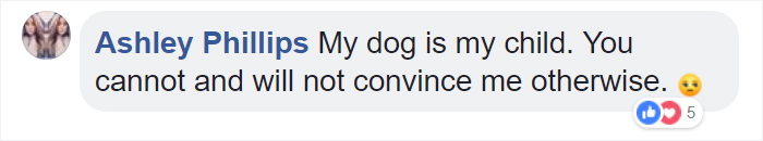 Millennials Are Blamed For Ruining Pet Food Industry So They Respond By Explaining Why It’s Not Their Fault Millennials Are Blamed For Ruining Pet Food Industry So They Respond By Explaining Why It’s Not Their Fault
