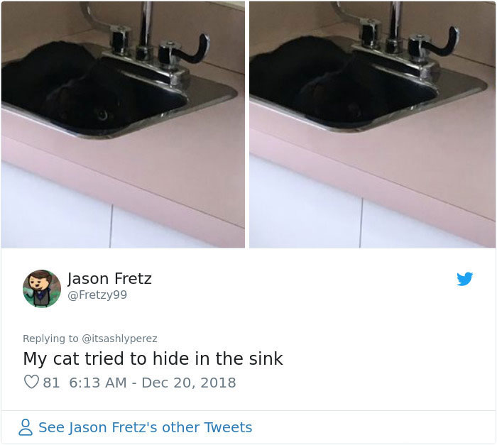 Someone Shares Pic Of Their Cat Hiding From The Vet, The Internet Responds With Their Own Hilarious Pics Someone Shares Pic Of Their Cat Hiding From The Vet, The Internet Responds With Their Own Hilarious Pics