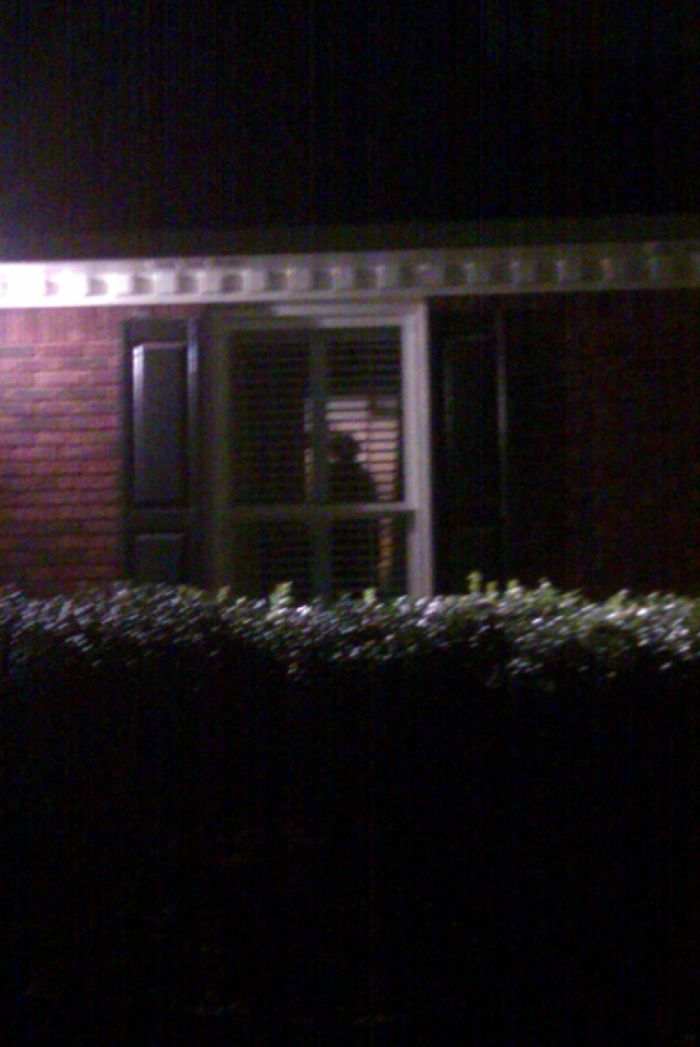 22 Times Optical Illusions Almost Gave People A Heart Attack 22 Times Optical Illusions Almost Gave People A Heart Attack