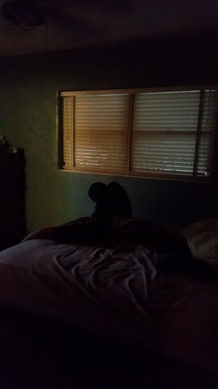 22 Times Optical Illusions Almost Gave People A Heart Attack 22 Times Optical Illusions Almost Gave People A Heart Attack