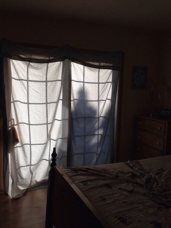 22 Times Optical Illusions Almost Gave People A Heart Attack 22 Times Optical Illusions Almost Gave People A Heart Attack