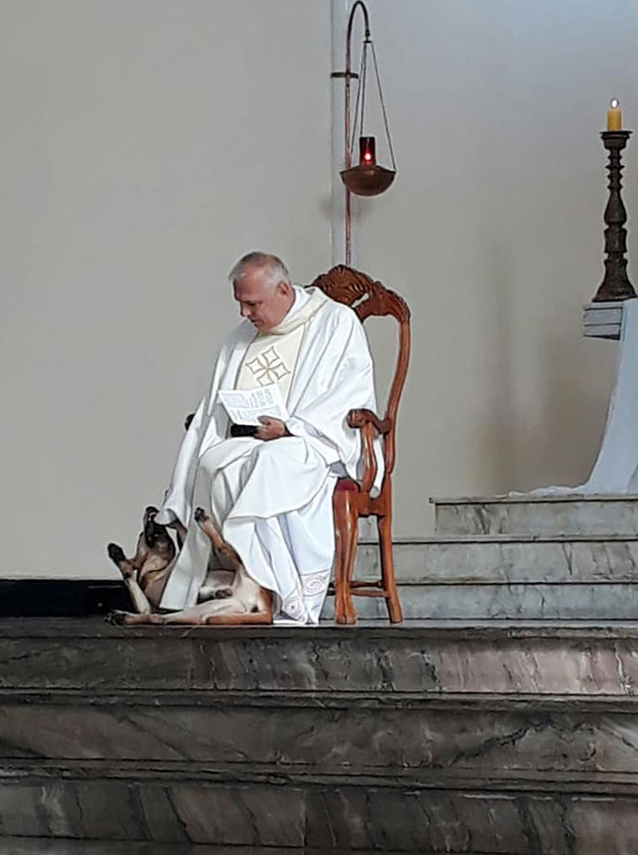 Priest Has An Adorable Reaction To A Dog Who Crashed His Church Service Priest Has An Adorable Reaction To A Dog Who Crashed His Church Service
