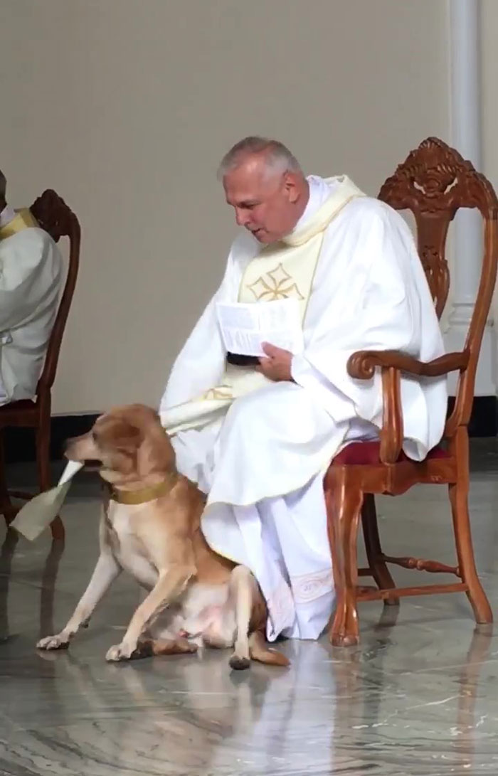 Priest Has An Adorable Reaction To A Dog Who Crashed His Church Service Priest Has An Adorable Reaction To A Dog Who Crashed His Church Service