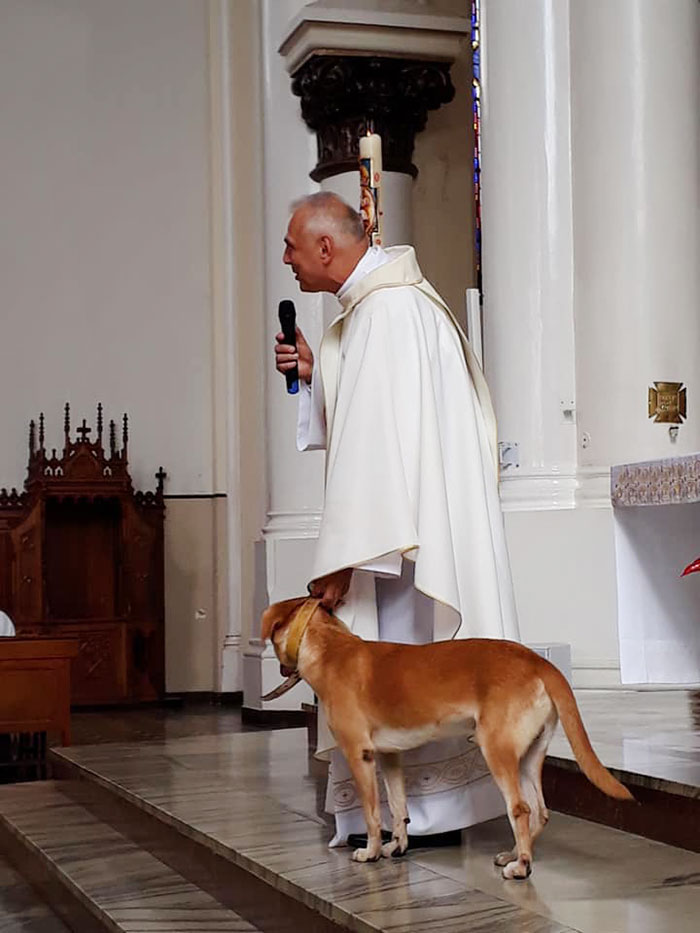 Priest Has An Adorable Reaction To A Dog Who Crashed His Church Service Priest Has An Adorable Reaction To A Dog Who Crashed His Church Service