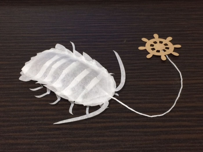 Japanese Company Creates Sea Creature Teabags That “Come Alive” Inside Your Cup