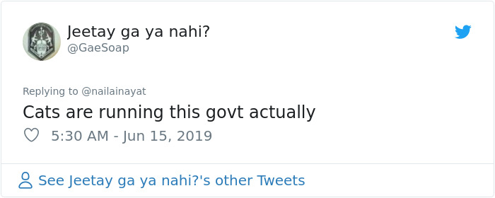 Pakistani Government Officials Accidentally Turn On Cat Filter During Facebook Live, Hilarity Ensues Pakistani Government Officials Accidentally Turn On Cat Filter During Facebook Live, Hilarity Ensues