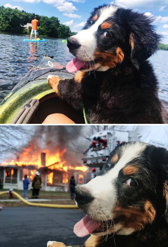 40 Winners Of The Greatest Photoshop Battles Ever 40 Winners Of The Greatest Photoshop Battles Ever