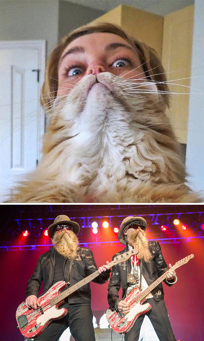 40 Winners Of The Greatest Photoshop Battles Ever 40 Winners Of The Greatest Photoshop Battles Ever