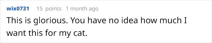 This Is What Happens When A Photographer Babysits Your Cat (10 Pics)