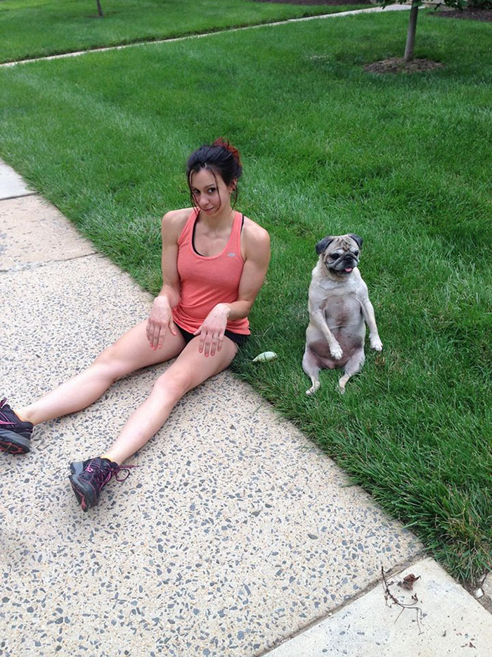 Man Asks Chewy For A Refund On Dog Food After His Dog Passes Away, Gets An Oil Painting With A Message Man Asks Chewy For A Refund On Dog Food After His Dog Passes Away, Gets An Oil Painting With A Message