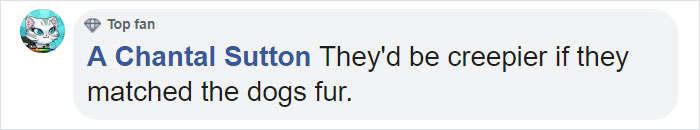 Amazon Is Selling Dog Muzzles That Look Like Human Faces And They’re Too Bizarre