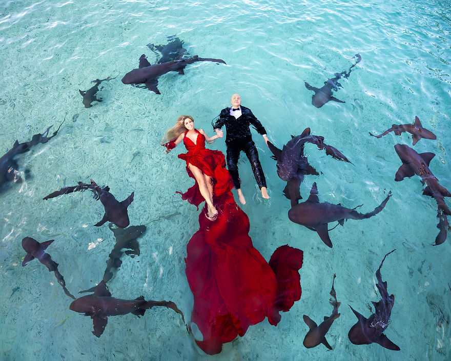 I Brought An Adventurous Couple To Exuma To Swim With Sharks, Pigs, And Stingrays I Brought An Adventurous Couple To Exuma To Swim With Sharks, Pigs, And Stingrays