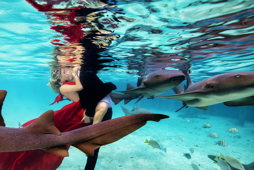 I Brought An Adventurous Couple To Exuma To Swim With Sharks, Pigs, And Stingrays I Brought An Adventurous Couple To Exuma To Swim With Sharks, Pigs, And Stingrays