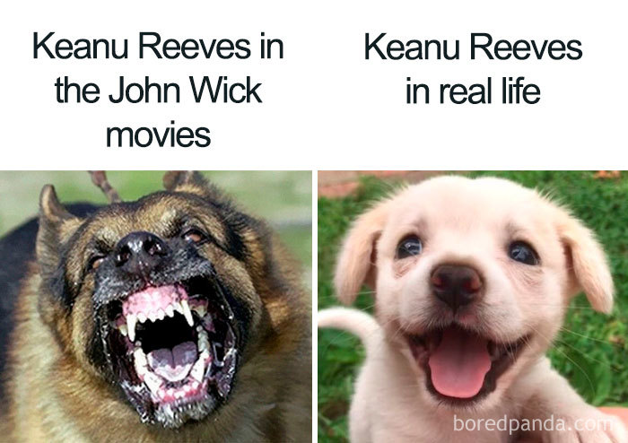 Keanu Reeves Is Truly Breathtaking And Here Are 30 Memes About Him Keanu Reeves Is Truly Breathtaking And Here Are 30 Memes About Him