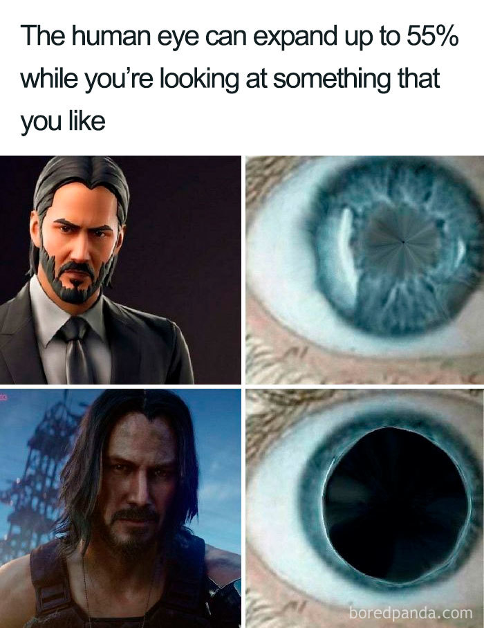 Keanu Reeves Is Truly Breathtaking And Here Are 30 Memes About Him Keanu Reeves Is Truly Breathtaking And Here Are 30 Memes About Him
