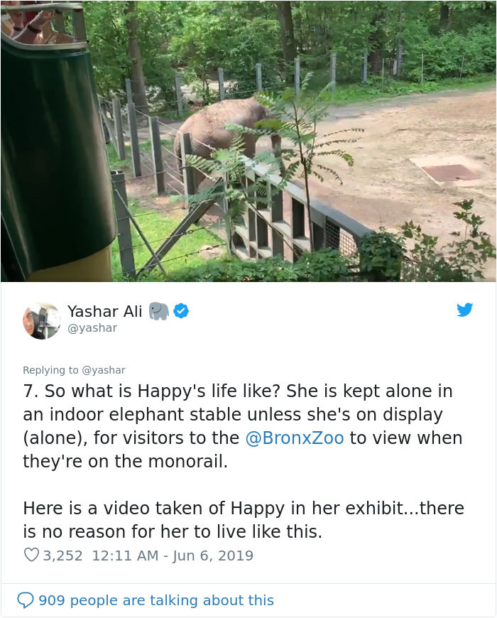 People Are Trying To Convince The Bronx Zoo To Release Happy The Elephant And This Thread Explains Why People Are Trying To Convince The Bronx Zoo To Release Happy The Elephant And This Thread Explains Why