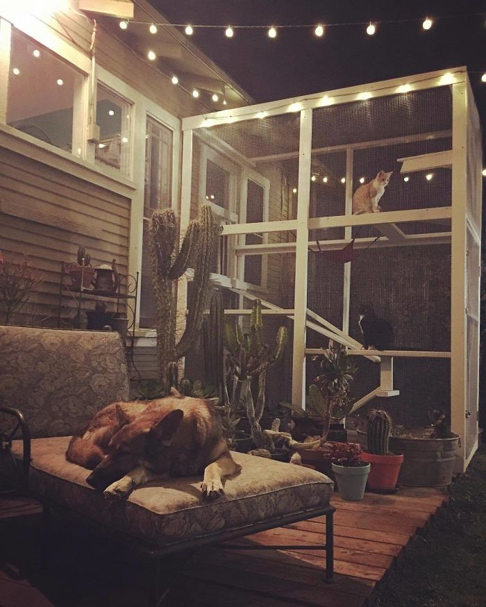 Cat Patios, Known As Catios, Are The Latest Way To Spoil Your Beloved Kitty (30 Pics) Cat Patios, Known As Catios, Are The Latest Way To Spoil Your Beloved Kitty (30 Pics)
