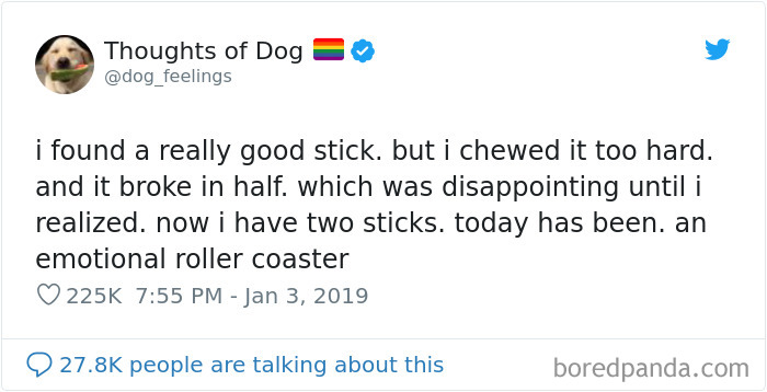 30 Of The Funniest Dog Thoughts That Dog Owners Will Understand Too Well 30 Of The Funniest Dog Thoughts That Dog Owners Will Understand Too Well
