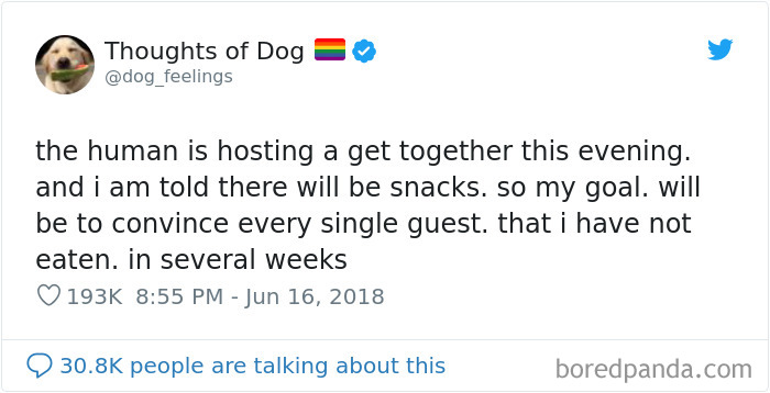 30 Of The Funniest Dog Thoughts That Dog Owners Will Understand Too Well 30 Of The Funniest Dog Thoughts That Dog Owners Will Understand Too Well