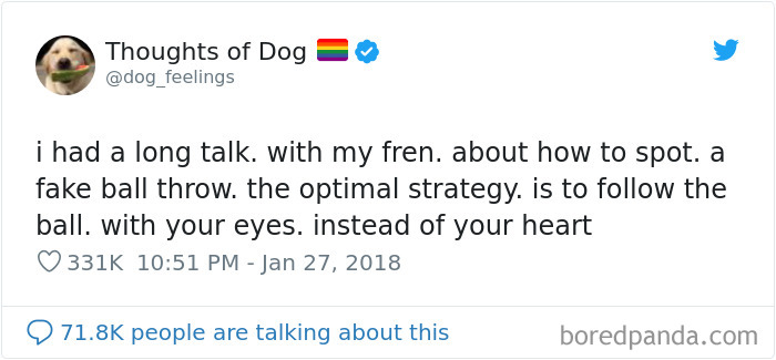 30 Of The Funniest Dog Thoughts That Dog Owners Will Understand Too Well 30 Of The Funniest Dog Thoughts That Dog Owners Will Understand Too Well
