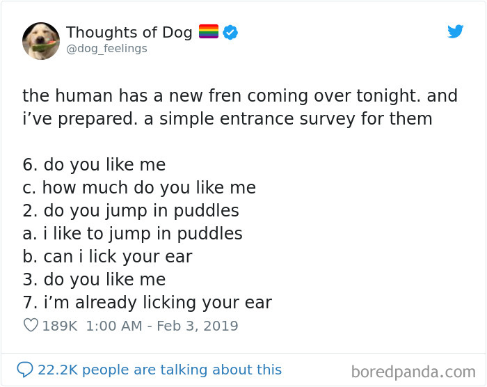 30 Of The Funniest Dog Thoughts That Dog Owners Will Understand Too Well 30 Of The Funniest Dog Thoughts That Dog Owners Will Understand Too Well