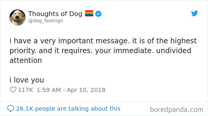 30 Of The Funniest Dog Thoughts That Dog Owners Will Understand Too Well 30 Of The Funniest Dog Thoughts That Dog Owners Will Understand Too Well