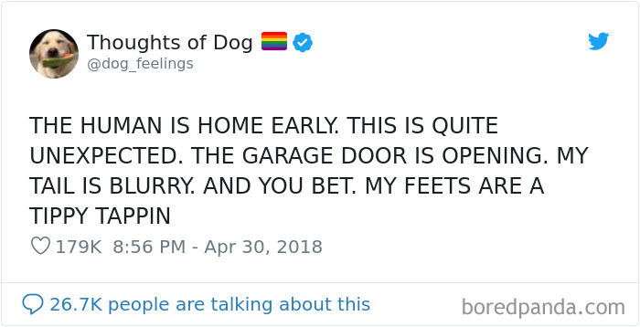 30 Of The Funniest Dog Thoughts That Dog Owners Will Understand Too Well 30 Of The Funniest Dog Thoughts That Dog Owners Will Understand Too Well