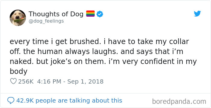 30 Of The Funniest Dog Thoughts That Dog Owners Will Understand Too Well 30 Of The Funniest Dog Thoughts That Dog Owners Will Understand Too Well