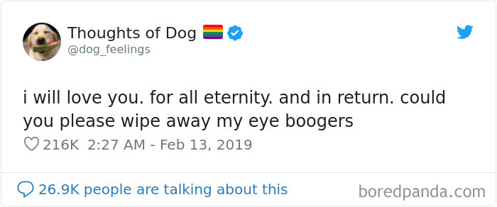 30 Of The Funniest Dog Thoughts That Dog Owners Will Understand Too Well 30 Of The Funniest Dog Thoughts That Dog Owners Will Understand Too Well