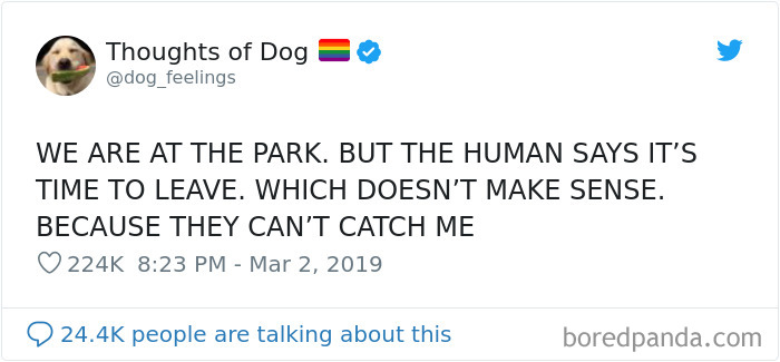 30 Of The Funniest Dog Thoughts That Dog Owners Will Understand Too Well 30 Of The Funniest Dog Thoughts That Dog Owners Will Understand Too Well