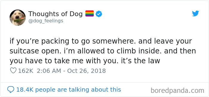 30 Of The Funniest Dog Thoughts That Dog Owners Will Understand Too Well 30 Of The Funniest Dog Thoughts That Dog Owners Will Understand Too Well