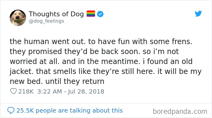 30 Of The Funniest Dog Thoughts That Dog Owners Will Understand Too Well 30 Of The Funniest Dog Thoughts That Dog Owners Will Understand Too Well