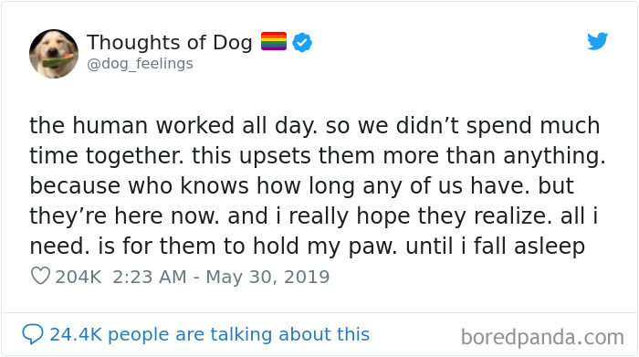 30 Of The Funniest Dog Thoughts That Dog Owners Will Understand Too Well 30 Of The Funniest Dog Thoughts That Dog Owners Will Understand Too Well