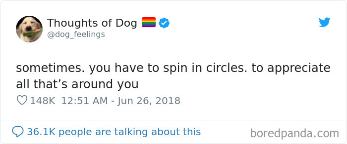 30 Of The Funniest Dog Thoughts That Dog Owners Will Understand Too Well 30 Of The Funniest Dog Thoughts That Dog Owners Will Understand Too Well